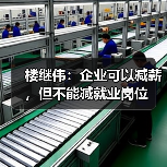 楼继伟：企业可以减薪，但不能减就业岗位（图2）