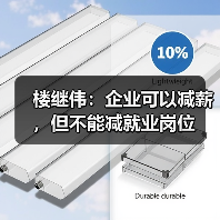 楼继伟：企业可以减薪，但不能减就业岗位（图4）