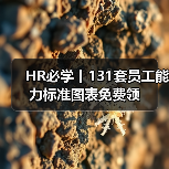 HR必学丨131套员工能力标准图表免费领（图4）