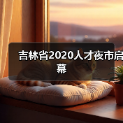 吉林省2020人才夜市启幕（图3）