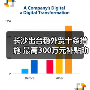长沙出台稳外贸十条措施 最高300万元补贴助力企业拓市场（图4）