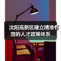 沈阳高新区建立精准有效的人才政策体系（图4）