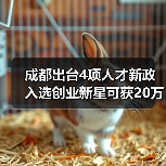 成都出台4项人才新政 入选创业新星可获20万资助（图2）
