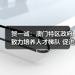 贺一诚：澳门特区政府致力培养人才梯队 促进青年向上（图3）