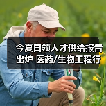 今夏白领人才供给报告出炉 医药/生物工程行业涨薪明显（图3）