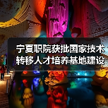 宁夏职院获批国家技术转移人才培养基地建设单位（图2）