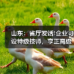 山东：省厅发话!企业可设特级技师，享正高级工程师待（图3）