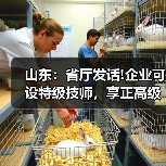 山东：省厅发话!企业可设特级技师，享正高级工程师待（图1）