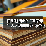 四川新增6个“国字号”人才培训基地 每个补助500万元（图1）