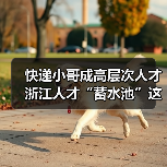 快递小哥成高层次人才 浙江人才“蓄水池”这样打造（图3）