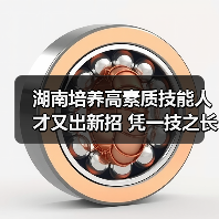 湖南培养高素质技能人才又出新招 凭一技之长免试读本（图1）