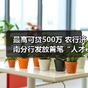 最高可贷500万 农行济南分行发放首笔“人才e贷”（图2）