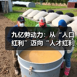 九亿劳动力：从“人口红利”迈向“人才红利”（图4）