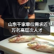 山东千家单位需求近1.3万名高层次人才（图3）