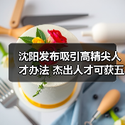 沈阳发布吸引高精尖人才办法 杰出人才可获五百万资助（图1）