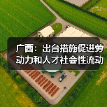 广西：出台措施促进劳动力和人才社会性流动（图1）