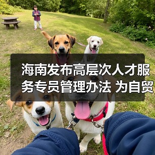 海南发布高层次人才服务专员管理办法 为自贸港建设集（图3）