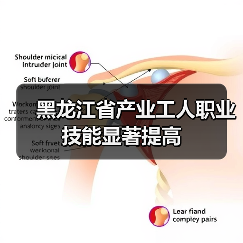 黑龙江省产业工人职业技能显著提高（图2）