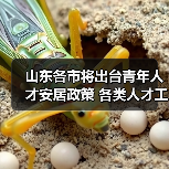 山东各市将出台青年人才安居政策 各类人才工程中增加（图1）