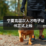 宁夏高层次人才电子证书正式上线（图2）