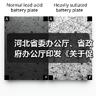 河北省委办公厅、省政府办公厅印发《关于促进劳动力和（图2）